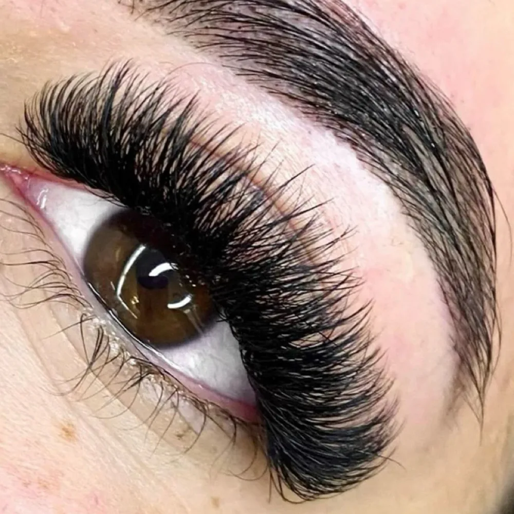 Mega volume full set at Wink Lash Studio in East Memphis