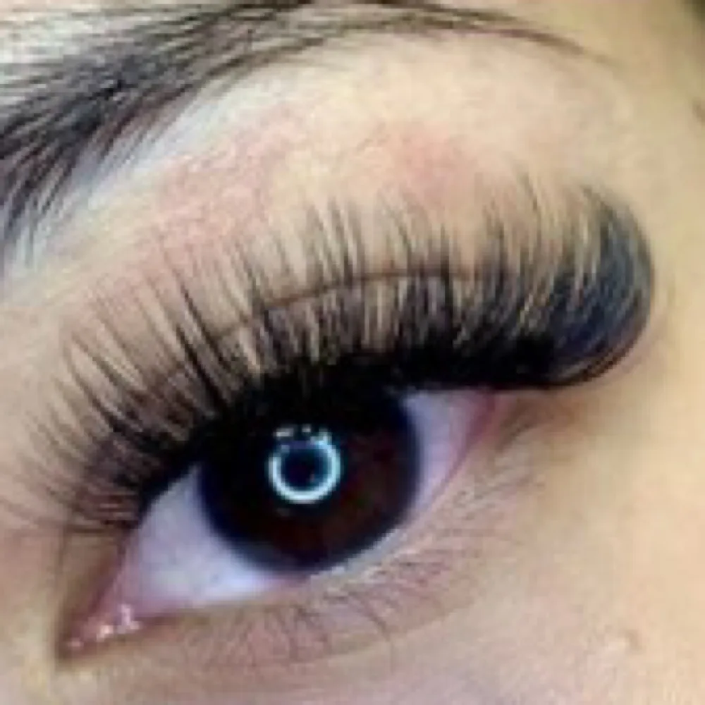 6D volume refill at Wink Lash Studio in East Memphis