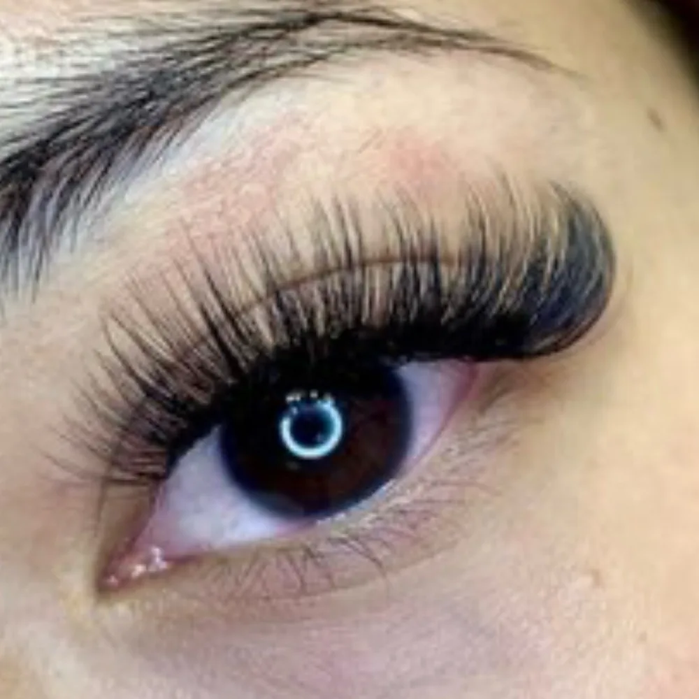 6D glam volume set at Wink Lash Studio in East Memphis
